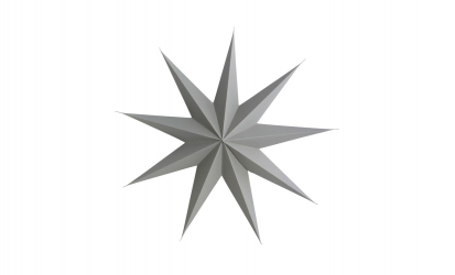 STAR 9 Point Grey 45
