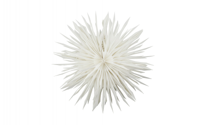 REEF Stjrna 50cm Off-White