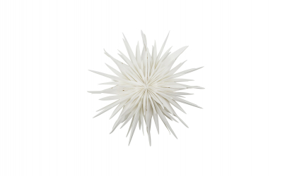 DUST Stjrna 70cm Off-White