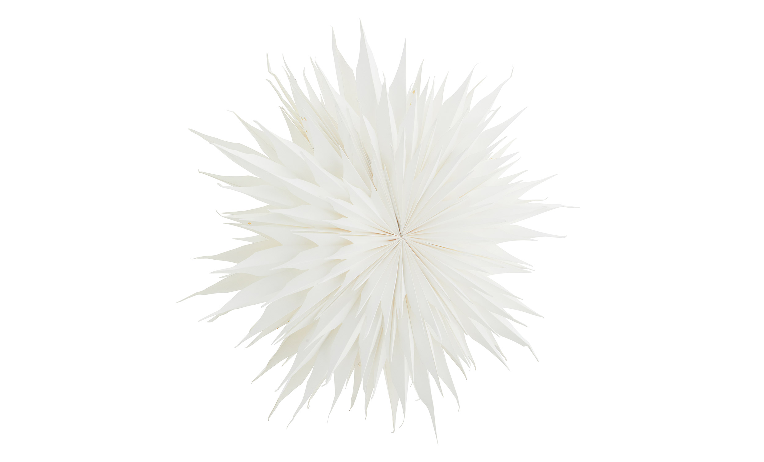 Julstjrna 52cm Vit
