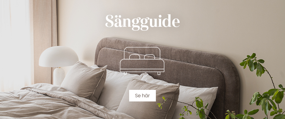 S�ngguide