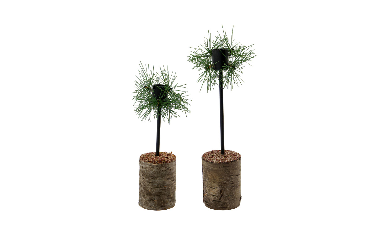KINGS Ljusstake Set/2 i gruppen Dekoration / Ljusstakar och Lyktor hos SoffaDirekt.se (900001730)