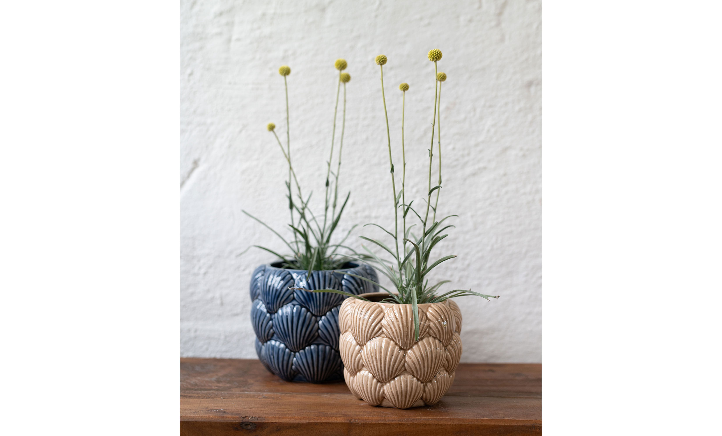 GALIA Sn�cka Kruka Brun