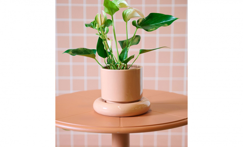 Bild nr 2 (AMARA Kruka 19x15 Persikorosa)