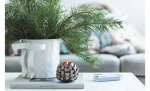 Byt till bild nr 2 (CINNAMON Kruka Creme)