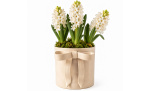 Byt till bild nr 2 (CINNAMON Kruka Beige)