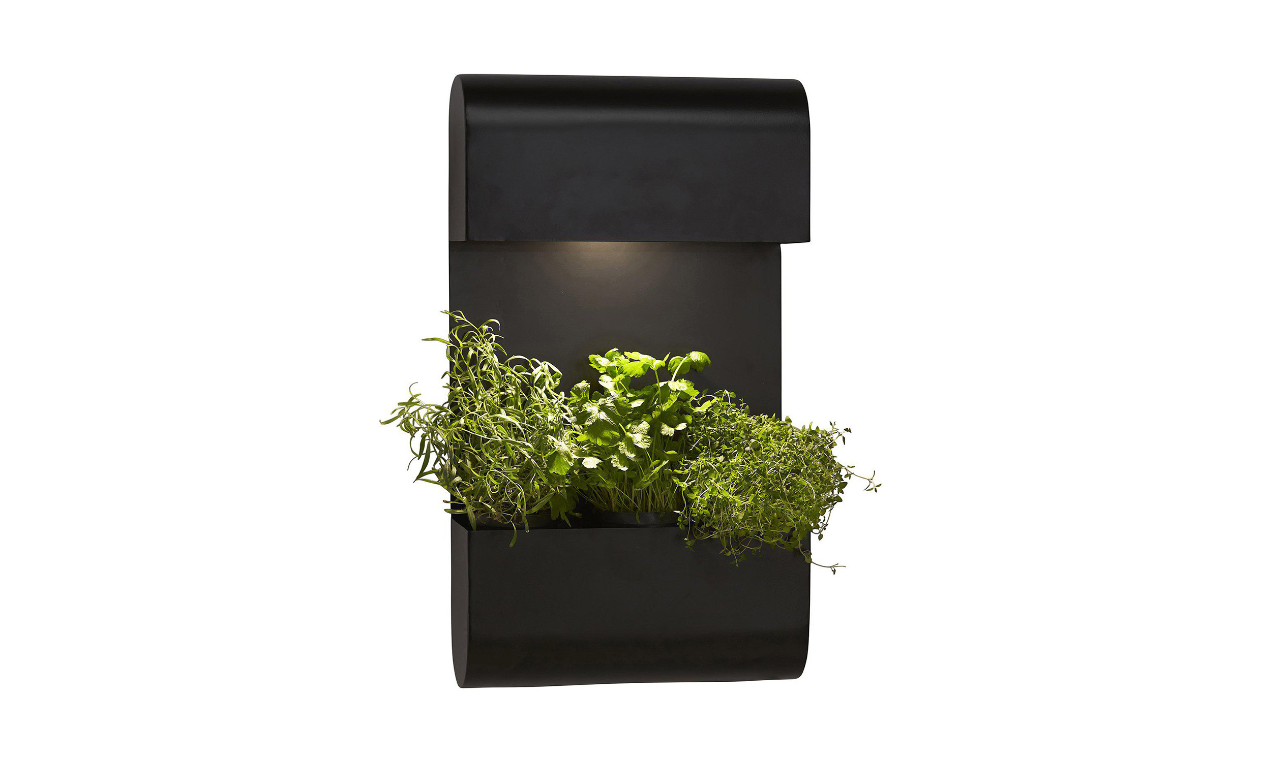 PLANTA Vgglampa Svart