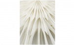 Byt till bild nr 4 (REEF Stjrna 50cm Off-White)