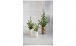 Byt till bild nr 4 (CHRISTMAS TREE Wooden Base 44 cm)