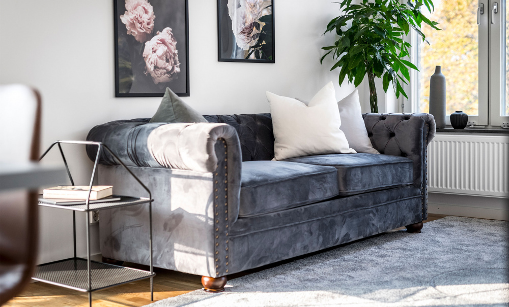 WINDSOR Chesterfield Bddsoffa Velvet Beige i gruppen Vardagsrum / Soffor / Bddsoffor hos SoffaDirekt.se (2328-HLR-8)