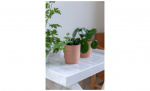 TRAY Brickbord Vit