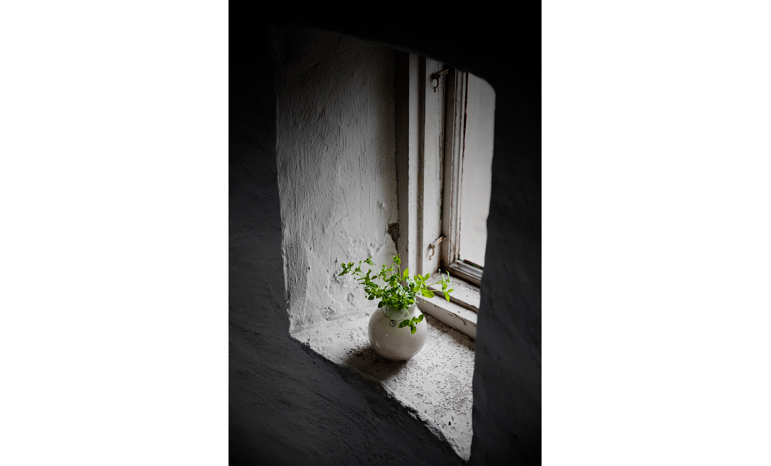 GLASVAS Rund 10cm Grn