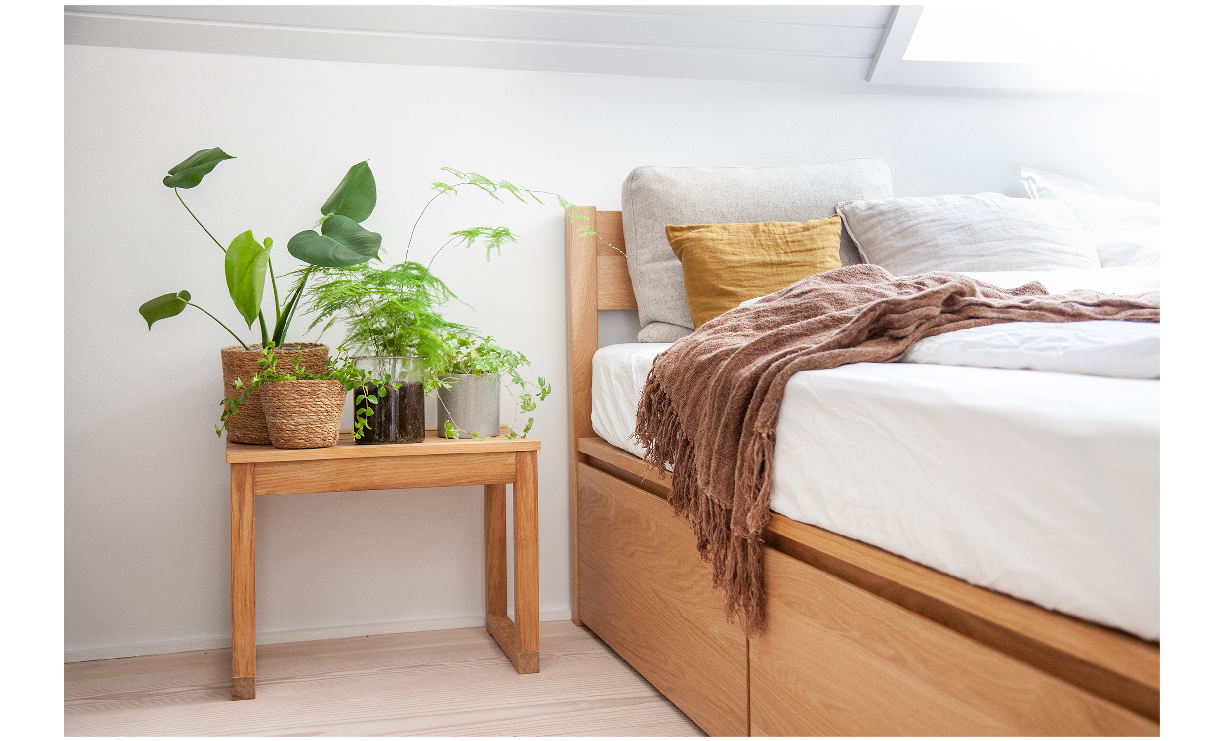 VEGA Pall Teak