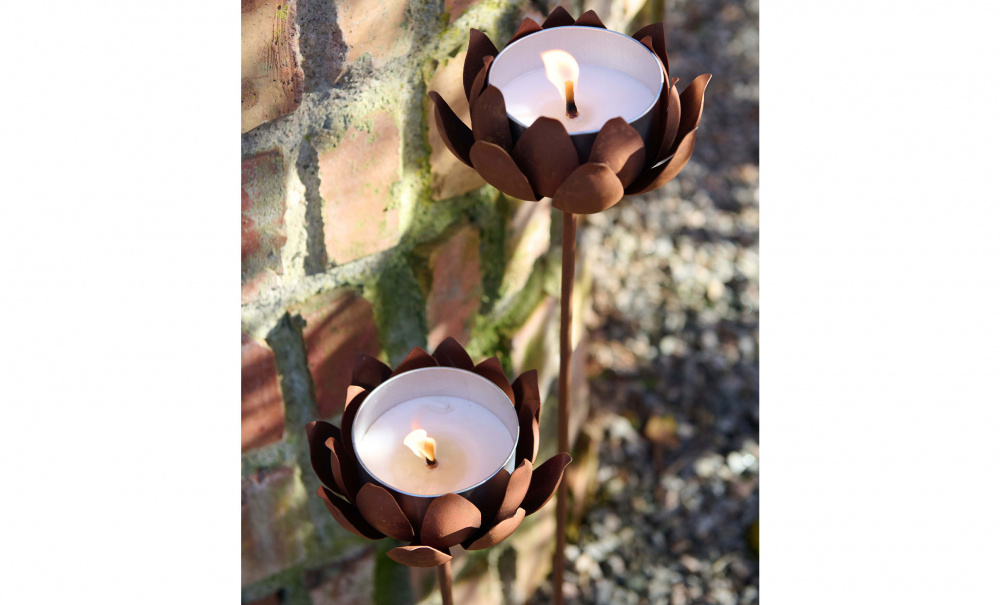 Bild nr 2 (LOTUS Marschall 2-set Rost)