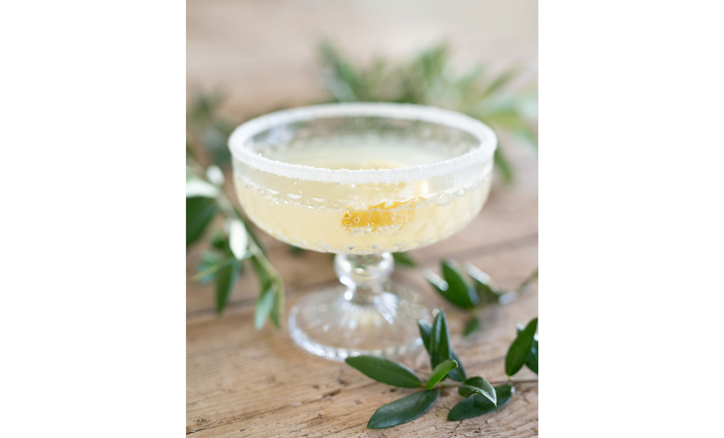 ELLY Coupéglas Klar