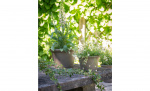 Byt till bild nr 2 (MAJVOR Plantering Antikbrun)