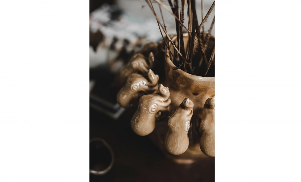 Bild nr 3 (POLPO Vas Gul)