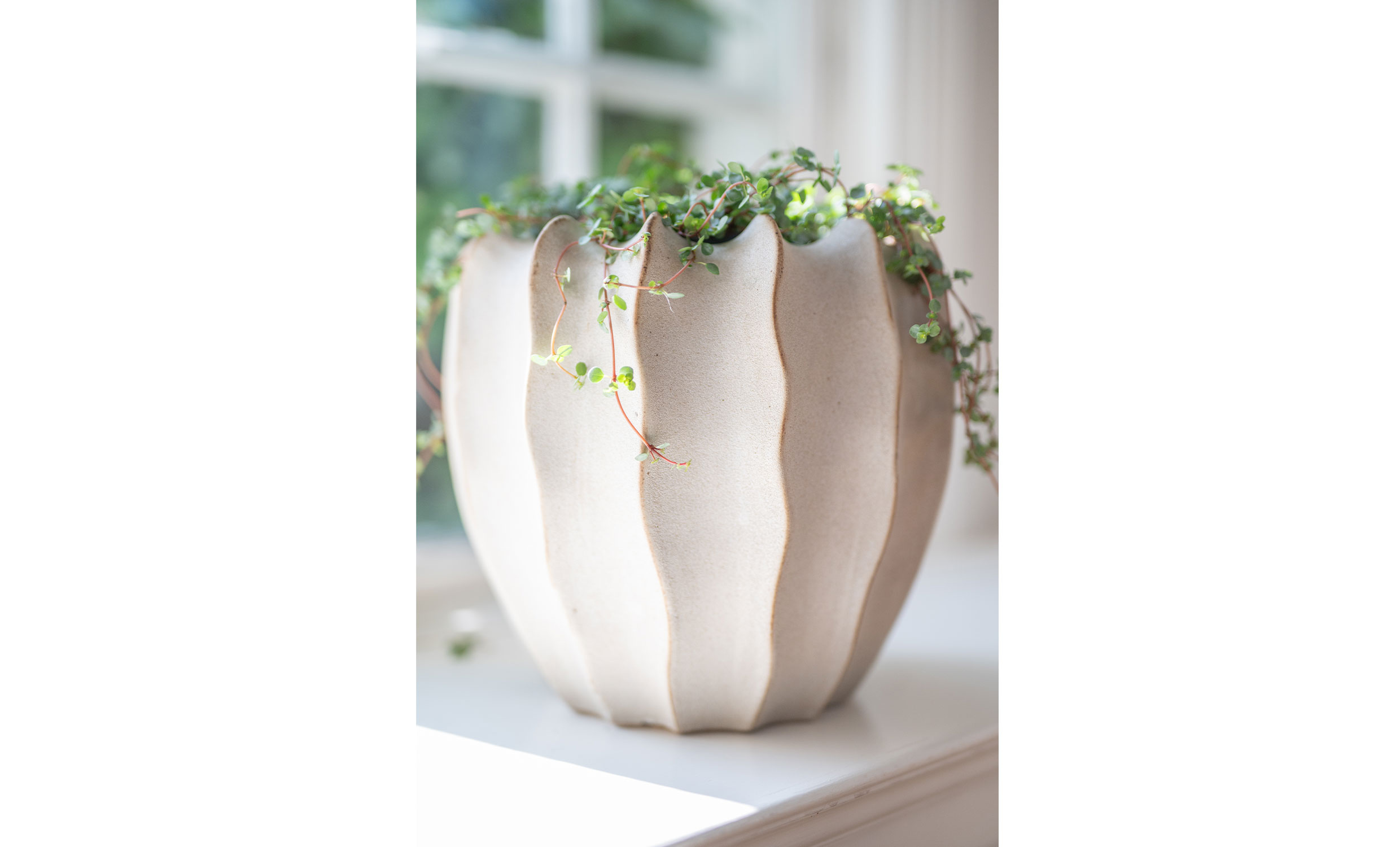 CALISTA Kruka Beige S