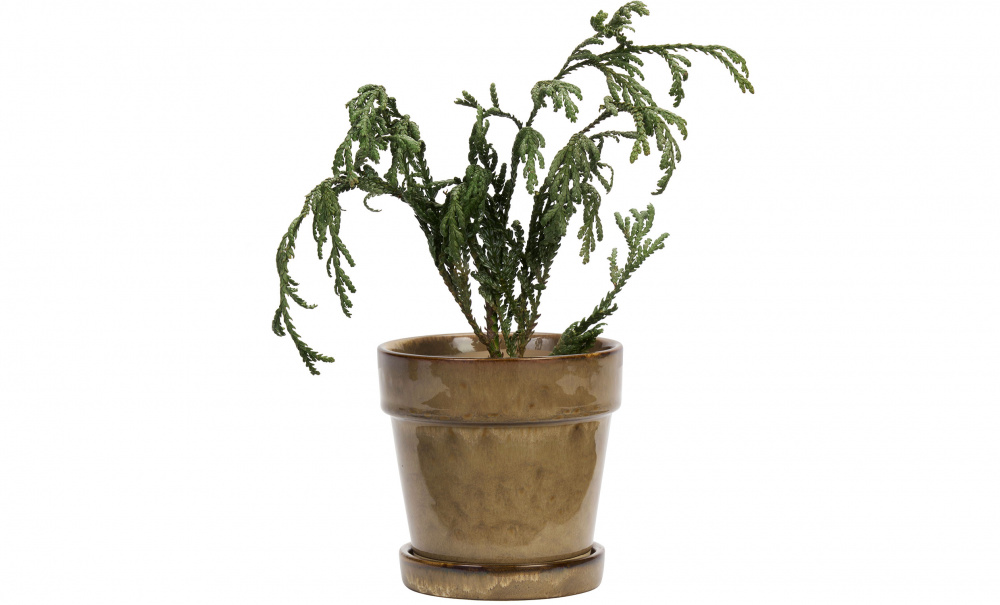 Bild nr 2 (BLOMKRUKA D13 Beige)