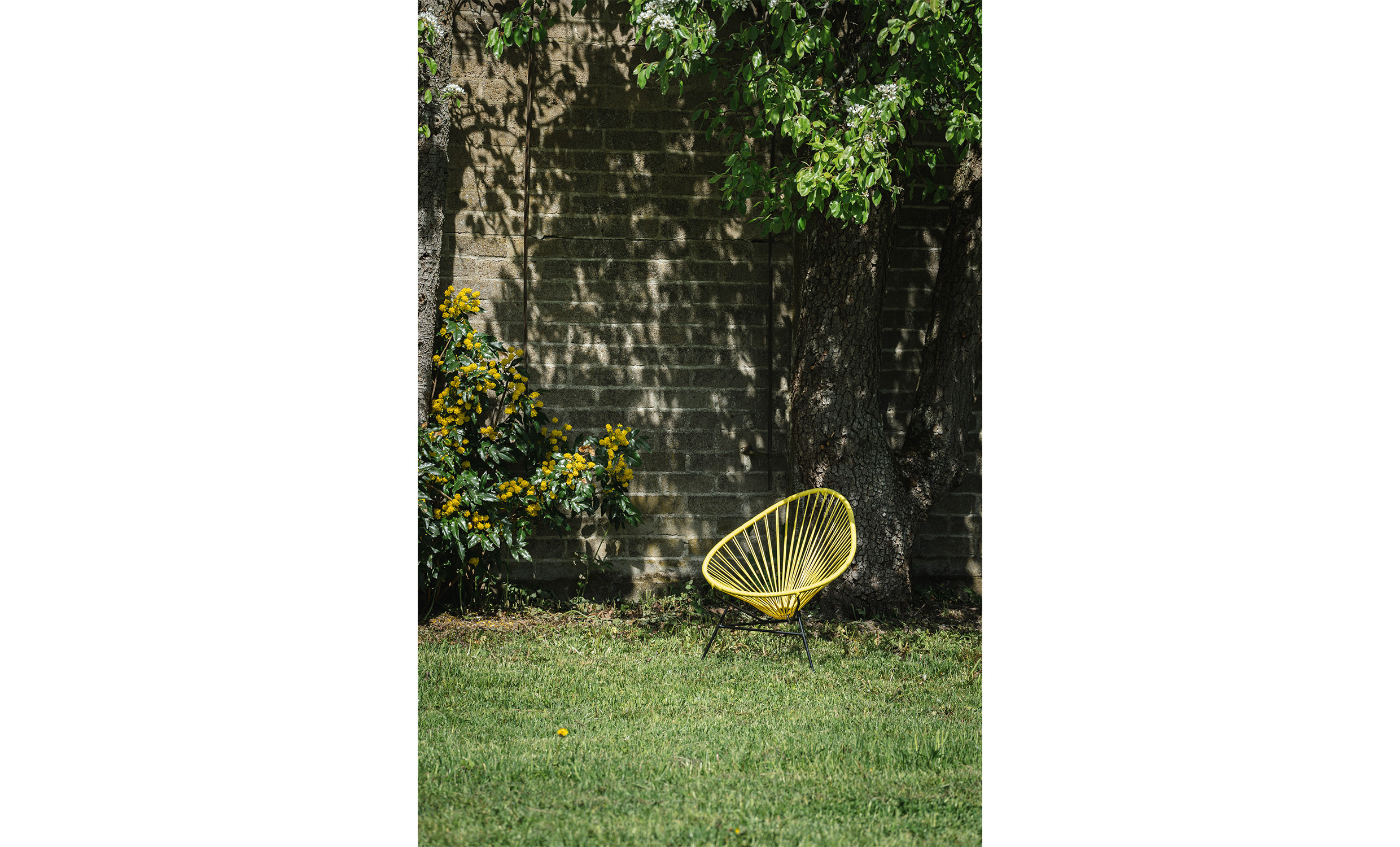 ACAPULCOSTOL Mini Lemon